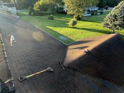 Professional Roof Maintenance