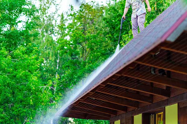 Roof Washing Services